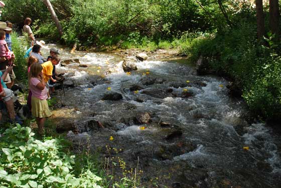 events_rubber-duck-race_00